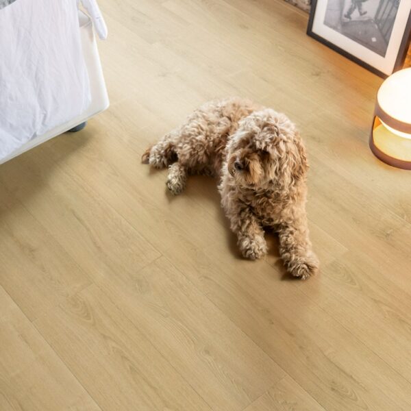 QUICK STEP_CAPTURE_SIG4763