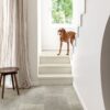 QUICK STEP_MUSE_MUS5485