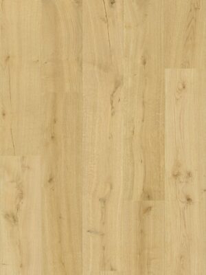 QUICK STEP_IMPRESSIVE_IM8255