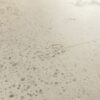 QUICK STEP_ILLUME_AVMTU40275