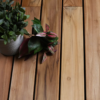 Στιγμιότυπο οθόνης (217) _RAVAIOLI_EXOTIC COLLECTION_PLANTATION TEAK